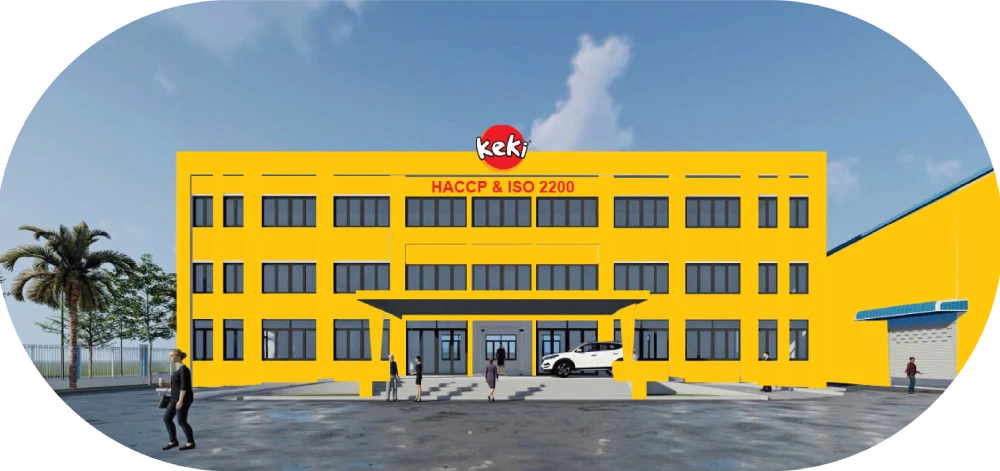 About the Company